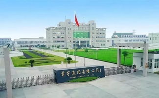 40年印跡 超牛 寧波這家企業(yè)產品打入世界前三 成為全球核心供應商