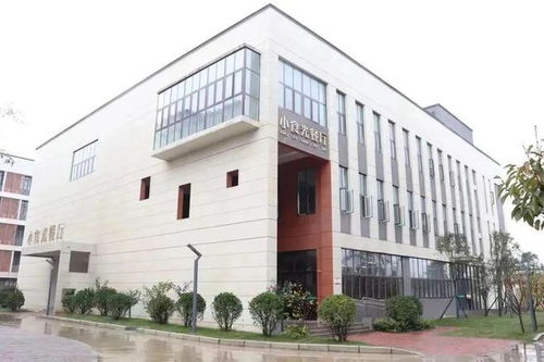 南陽市二全初中 食堂食品安全工作紀實