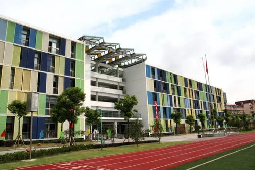 你應(yīng)該知道的國(guó)際學(xué)校升學(xué)大揭秘