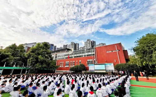 青羊校長說丨成都市青羊?qū)嶒炛袑W(xué)校長陳梅 以人為本,共育未來之才