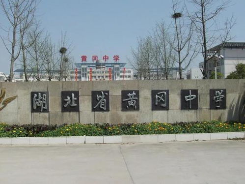 西咸新區(qū)涇河新城 辦好讓人民滿意的教育事業(yè)