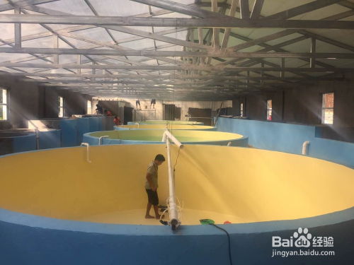 工廠化水產養(yǎng)殖池漆的施工工藝