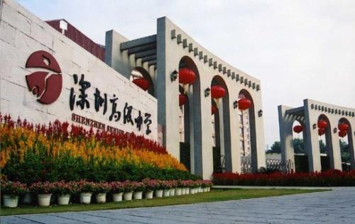 深圳市 赫赫有名 的4所高中,深圳中學(xué)無對手,堪稱清北后援團(tuán)