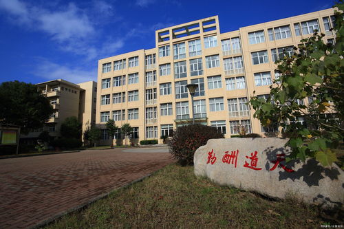 孩子成績(jī)中等,我應(yīng)該讓他上重點(diǎn)中學(xué)嗎