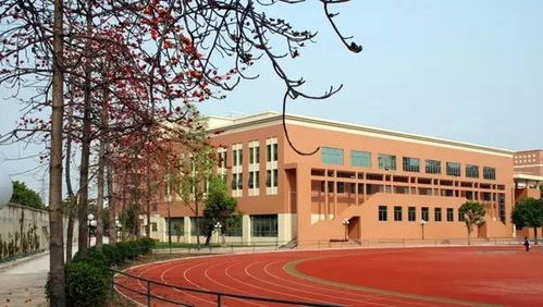 小升初民校巡禮 黃石篇